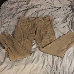 J crew pants.